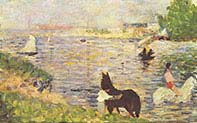 White and Black Horse in the River